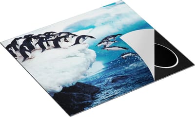 Chefcare Inductie Beschermer Kudde Pinguïns Springen vanaf een Rots - 60x50 cm - Afdekplaat Inductie - Kookplaat Beschermer - Inductie Mat