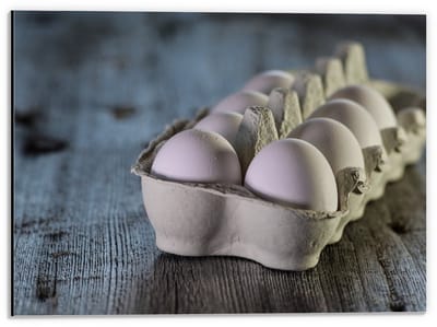 Dibond - Witte Eieren in Eierdoos  - 40x30cm Foto op Aluminium (Met Ophangsysteem)