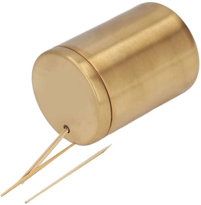 Allecto - Tandenstokerhouder - Roestvrijstalen Dispenser - Valbestendig en Duurzaam - 5 x 8 cm - Handig voor Thuisgebruik - Geschikt voor Keuken