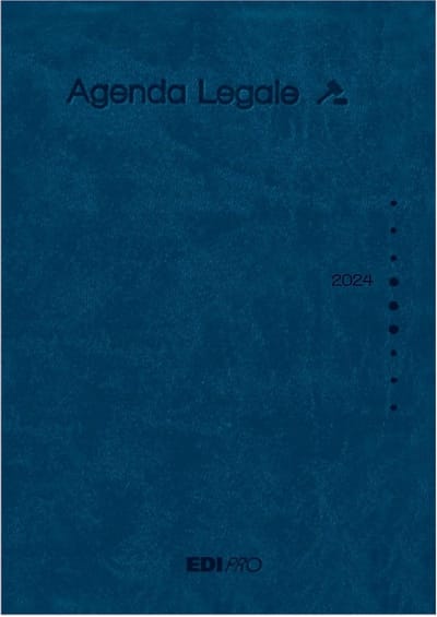 Grote Blauwe Jaarplanner en Dagplanner (17 x 24 cm) - Overzichtelijk plannen