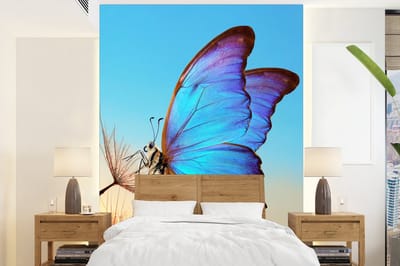 Behang - Fotobehang Vlinder - Paardebloem - Blauw - Breedte 160 cm x hoogte 220 cm