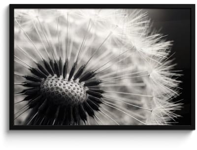 Poster in lijst - Fotolijst 90x60 cm - Posters - Paardenbloem - Zwart - Wit - Posterlijst zwart - Decoratie - Wanddecoratie woonkamer - Muurdecoratie slaapkamer