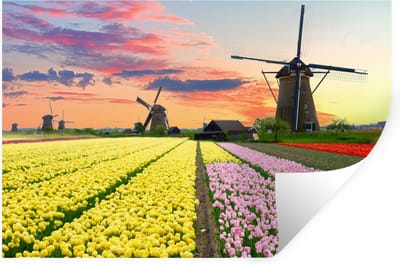 Muurstickers - Sticker Folie - Tulpen - Windmolen - Natuur - 30x20 cm - Plakfolie - Muurstickers Kinderkamer - Zelfklevend Behang - Zelfklevend behangpapier - Stickerfolie
