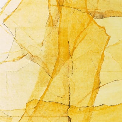 Wadada Leo Smith & Amina Claudine Myers - Central Park's Mosaics Of Resevoir, Lake, Paths And Gardens (LP) (Coloured Vinyl)