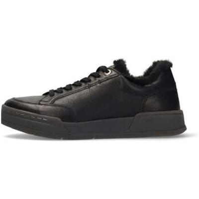 Lage Sneakers Salamander -