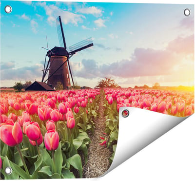 Gards Tuinposter Roze Tulpen Bloemenveld - met Windmolen - 50x40 cm - Tuindoek - Tuindecoratie - Wanddecoratie buiten - Tuinschilderij