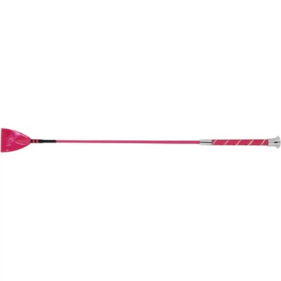 Rijdende das Whip & Go Candy