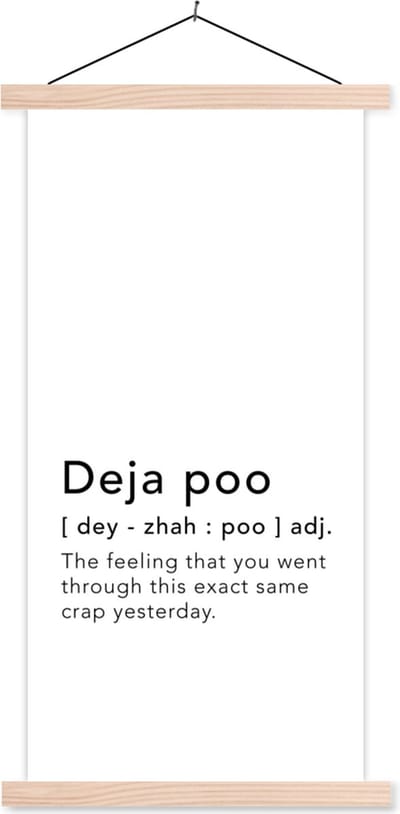 Posterhanger incl. Poster 60x120 cm - Schoolplaat - Spreuken - Quotes - The feeling that you went through this exact same crap yesterday - Deja poo - Textielposter - Blanke latten