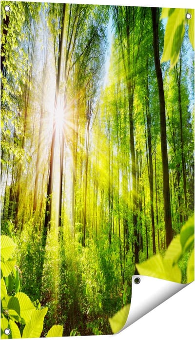 Gards Tuinposter Weg Omringd met Bomen in het Bos - 60x90 cm - Tuindoek - Tuindecoratie - Wanddecoratie buiten - Tuinschilderij