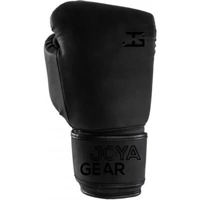 Kickboks handschoenen Joyagear Max