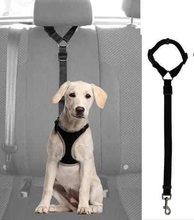 Repus - Hond/Kat Gordelriem - Veiligheid - Verstelbaar - Onderweg - Bescherming - Autoritten - Reizen - Zwart