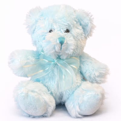 Teddybeer Blauw Pluche Knuffel (Kraamcadeau Jongen) 20 cm - Kraamcadeau - Babyshower - Gender Reveal - Baby Cadeau - Kraamvisite- Jongens - Teddy Beer - Geboorte Knuffelbeer