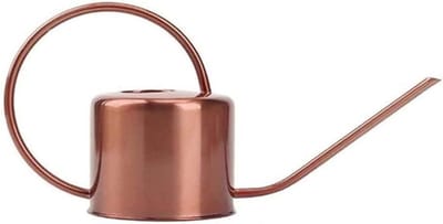 Bloemengieter Roestvrij Staal - Tuingieter Plantengieter - Planten Water Geven - Lange Nauwkeurige Tuit - 1300 ml - Koperkleurig