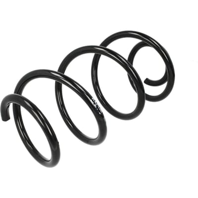 Chassisveer SACHS 993 189