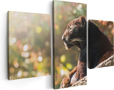 Artaza Canvas Schilderij Drieluik Zwarte Panter Vanaf De Zijkant - 90x60 - Foto Op Canvas - Canvas Print