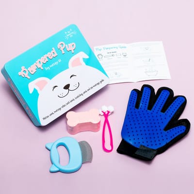 Gift Republic Massage Kit - Hond