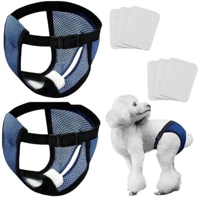 Dailygoods- Hondenbroek - 2 Stuks - Wasbaar - Ademend - Verstelbare Riem - Milieuvriendelijk - Geschikt voor Honden bij Maandelijkse Bloeding - Puppyluiers