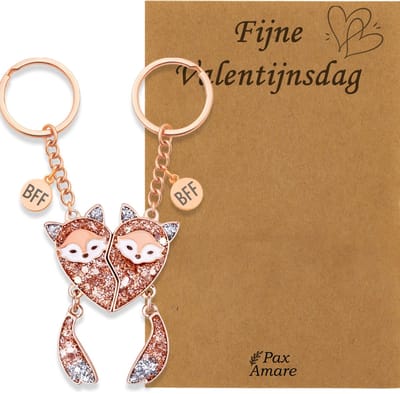 Koppel Sleutelhanger voor 2 'Fijne Valentijnsdag' - Magnetische Vosjes - Sleutelhanger set op Cadeau Kaartje - Rosé Goud - Vriendschap of Relatie Symbool - Pax Amare