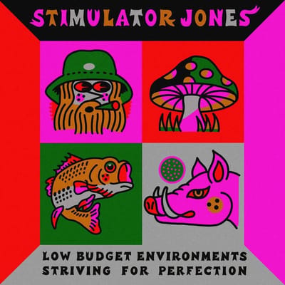 Stimulator Jones - Low Budget Environments Striving For Perfection (LP)