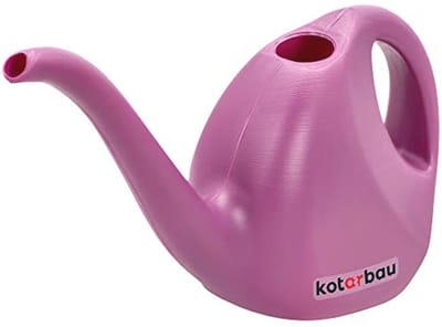 2 Liter Tuingieter van Kunststof met Lange Uitloop - Kleine Gieter voor Binnen en Buiten, Ideaal voor Bloemen en Planten