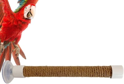 Vogelbaars Zuignap - Parkiet Speelgoed - Vogel Training - Sterke Zuignap Grip - Maat L - Zoals Afgebeeld