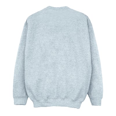 Harry Potter Jongens Sweatshirt met Gouden Inkt en Zweinsteinrest (Sportgrijs)