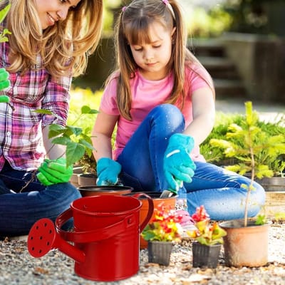 Mini gieter - Kleine waterkan - Planten water geven - Roestbestendig ijzer - 16 x 5 x 9 cm - Rood