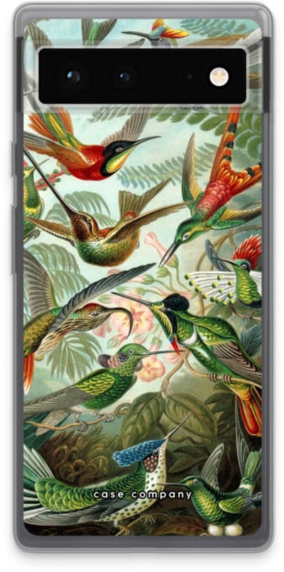 Case Company® - Hoesje geschikt voor Google Pixel 6 hoesje - Haeckel Trochilidae - Soft Cover Telefoonhoesje - Bescherming aan alle Kanten en Schermrand