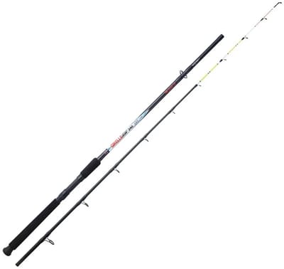 Sunset Girelle Sw Bodemvissen Hengel Zilver 2.10 m / 60-120 g