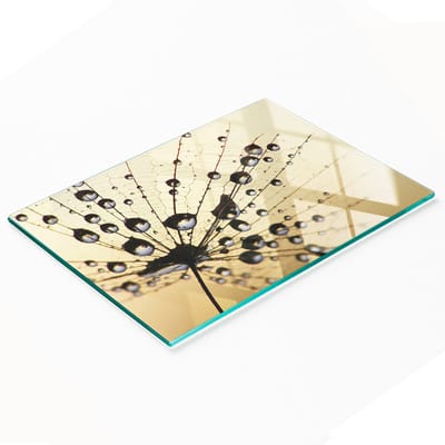 Keukenplank van gehard glas met decoratieve paardenbloemafbeeldingen, 80x52 cm