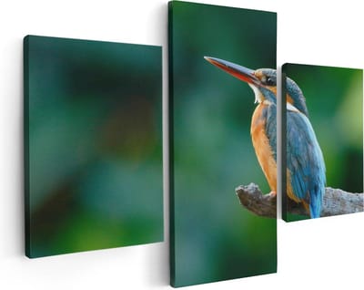 Artaza Canvas Schilderij Drieluik Blauw Oranje IJsvogel Op Een Tak - 90x60 - Foto Op Canvas - Canvas Print