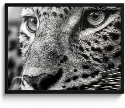 Poster in lijst - Fotolijst 80x60 cm - Posters - Luipaard - Zwart - Wit - Oog - Posterlijst zwart - Decoratie - Wanddecoratie woonkamer - Muurdecoratie slaapkamer