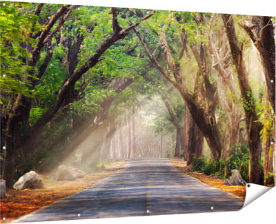 Gards Tuinposter Weg Omringd met Bomen - 180x120 cm - Tuindoek - Tuindecoratie - Wanddecoratie buiten - Tuinschilderij