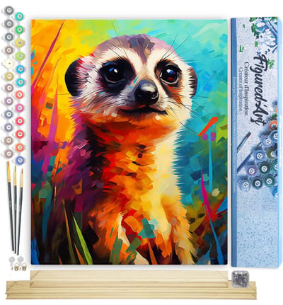 Figured'Art Schilderen op Nummer Volwassenen canvas Kleurrijke Abstracte Stokstaartje- Handwerk acrylverf Kit DIY Compleet - 40x50cm met DIY houten lijst
