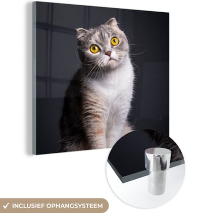 MuchoWow® Glasschilderij 50x50 cm - Schilderij acrylglas - Kat - Ogen - Licht - Foto op glas - Schilderijen
