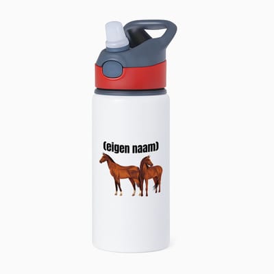 Hacebo® - paarden waterfles met rietje rood - Paarden - paardenliefhebebrs - met eigen naam - Paarden spullen - Gepersonaliseerd - water fles - 650ML