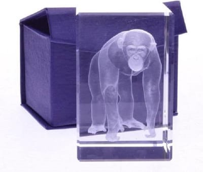 Glasblokje Chimpansee 3D – Lasergravure in Glas – Cadeauverpakking 8 cm