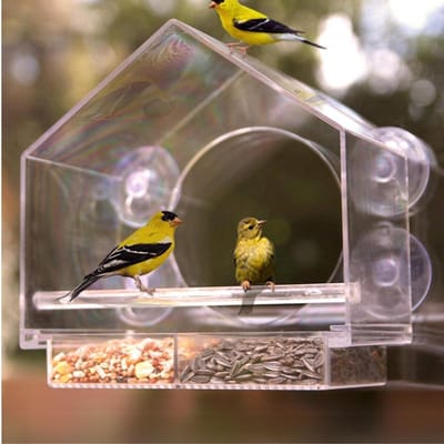 TIM® Raamvoederhuisje - Raamvoederhuisje Voor Vogels – Raamvoederbakje Met Zuignappen – Vogelvoederhuisje – Vogelhuisje Transparant – Vogelhuisjes - Transparant - 10cm x 10cm x 10cm; 450 g
