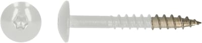 PGB-FASTENERS | HPL schroef Tx20 4,8x38 R9003 A4