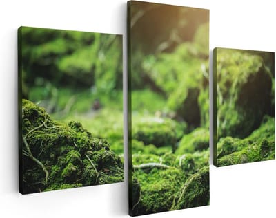 Artaza Canvas Schilderij Drieluik Groen Mos Bedekt over Stenen - 90x60 - Foto Op Canvas - Canvas Print