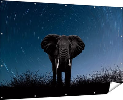 Gards Tuinposter Olifant Omringd met Sterren - 180x120 cm - Tuindoek - Tuindecoratie - Wanddecoratie buiten - Tuinschilderij
