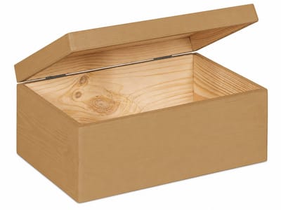 HAUDT® houten kistje EVA mini TOFFEE - met klepdeksel - 30 x 20 x 13 cm - caramel