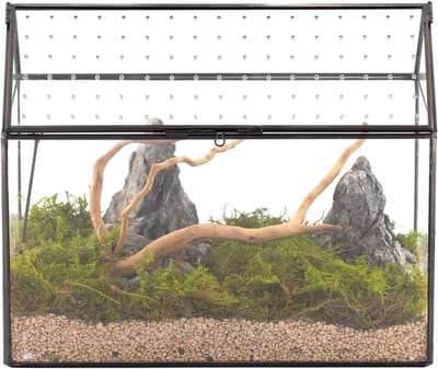 Glazen Terrarium in Huisvorm met Acryl Deksel - 26 x 15 x 21 cm, Grote Geometrische Terrariumdoos voor Planten, Succulenten en Luchtplanten, Decoratie voor Tafelgebruik