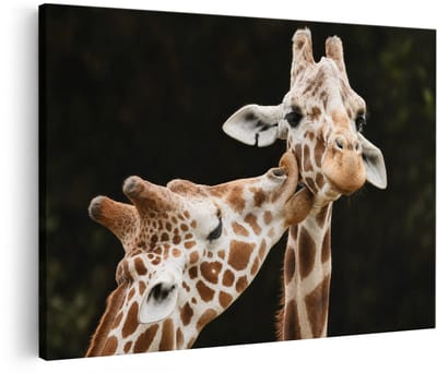 Artaza Canvas Schilderij Twee Giraffen - Natuur - Zwart - 90x60 cm - Wanddecoratie Woonkamer - Schilderijen - Muurdecoratie