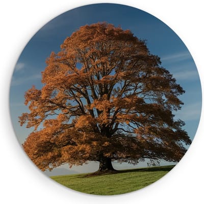 Saammp Muurcirkel Hout - Grote Boom op berg - Natuur - Landschap - Ø 90 - Wandcirkel - Wanddecoratie Cirkel - Muurdecoratie Woonkamer - Slaapkamer decoratie - Rond Schilderij