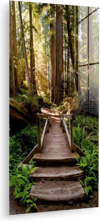 MuchoWow® Glasschilderij 20x40 cm - Schilderij acrylglas - Jungle - Natuur - Trap - Bomen - Foto op glas - Muurdecoratie woonkamer - Wanddecoratie slaapkamer - Schilderijen