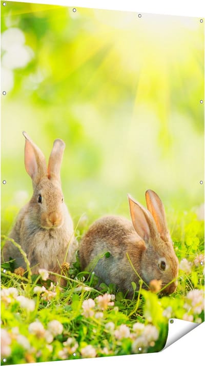 Gards Tuinposter Drie Konijnen op het Gras bij Zonneschijn - 120x180 cm - Tuindoek - Tuindecoratie - Wanddecoratie buiten - Tuinschilderij