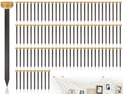 Dailygoods- Foto Spijkers 100 Stuks - 25mm Lange Spijkers - Stalen Spijkers - Messing Kop - Hanger voor Foto's - Opbergdoos - Hangspijkers