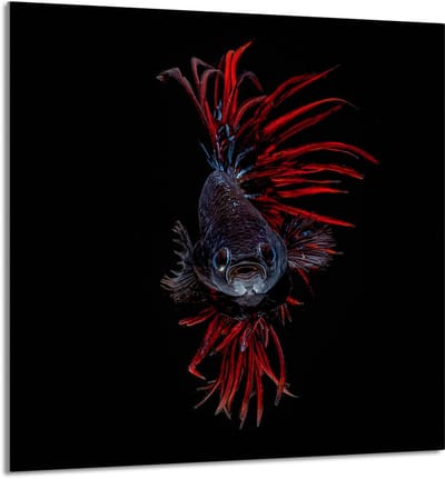 TMK ArtDeko - Snijplank - 60x65 cm - Glas - Voor Diverse Kookplaten