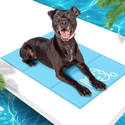 Famanu – Koelmat voor honden en katten van niet-giftige gel, XL 100 x 60 cm, perfect voor huisdieren in de zomer